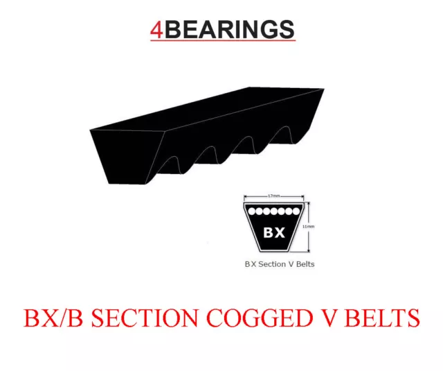 BX40  17x1060Lp - 1020Li BX Section V Belt 17 x 11mm