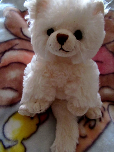 doudou peluche bukowski chat blanc beige billes très bon état kom neuf