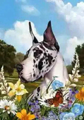Summer House Flag - Uncropped Fawn Great Dane 18150b