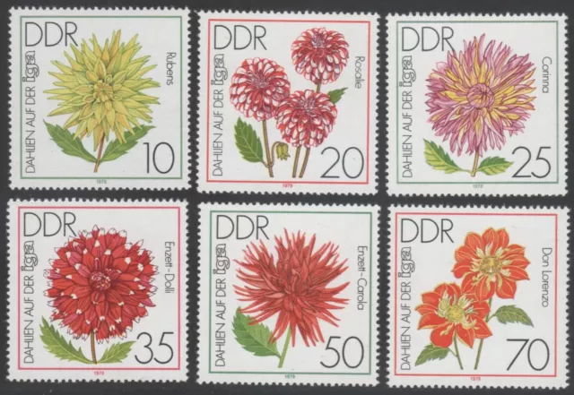 DDR 1979, Mi.-Nr. 2435-2440**, "IGA Erfurt, Dahlien",  postfrisch, TOP !!