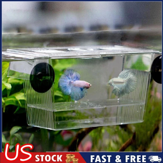 Transparent Acrylic Aquarium Incubator Fish Tank Isolation Box Hatchery Holder