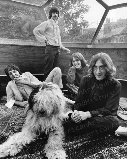 The Beatles with Paul's Dog Martha John Paul George Ringo Photo Print Poster