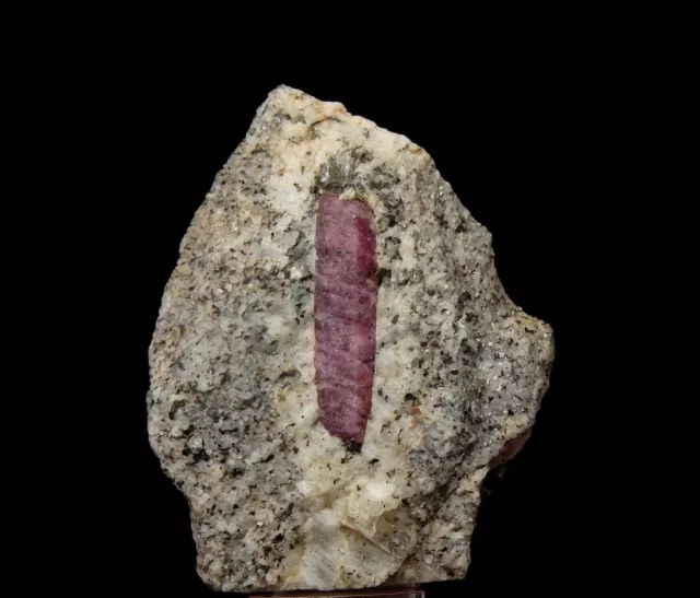 CORUNDUM var. RUBY crystal on matrix - MADAGASCAR Ihorombe - Ihosy Distr  /pj247