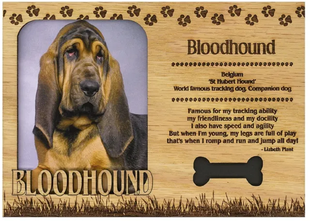 Bloodhound Engraved Wood Picture Frame Magnet