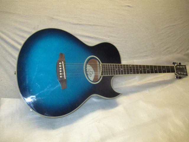 NASHVILLE ELECTRO ACOUSTIC BLUEBURST & 100's D'AUTRES a VENDRE