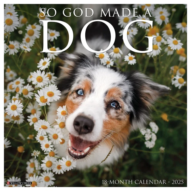 WILLOW CREEK SO God Made a Dog 2026 12" x 12" Wall Calendar w £15.11 WILLOW CREEK SO God Made a Dog 2026 12" x 12" Wall Calendar w £15.11
