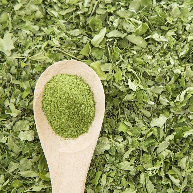 Fresh Dried Moringa/Drumstick Tree Leaves powder Oleifera Tea Leaf Health Drink