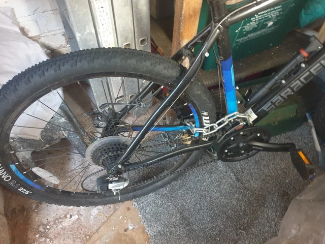 Saracen zen 3 2025