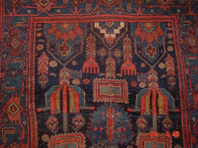 Wonderful   Impressive Antique Kurdish Bidjahr Rug    **Hg***