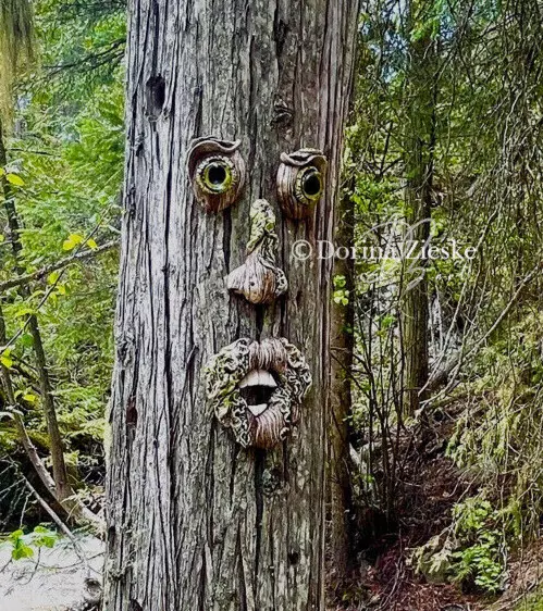 "Elwood" Concrete Tree Face Painted Glass Eyes Unquie Garden Art Made In Canada