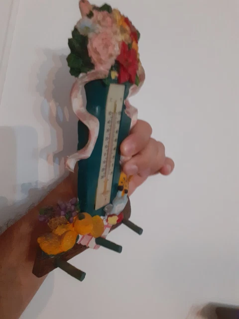 Termometro vintage da casa con appendi panni
