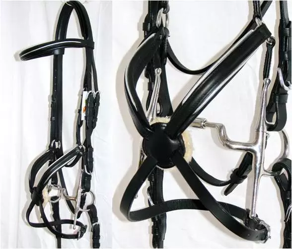 FSS German COMFORT Padded Mexican Grackle Figure 8 Noseband SILVER PIPING Bridle