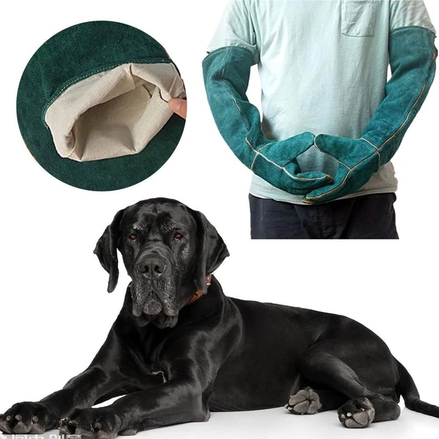 Guanti protettivi antigraffio animale domestico 60cm guanti protettivi cane/gatto/rettile