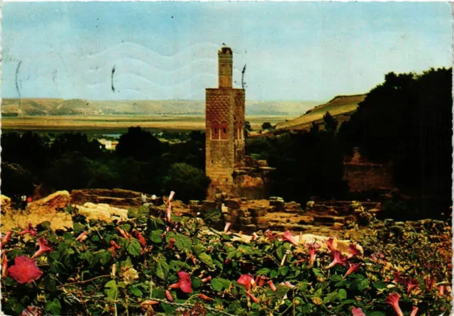 CPM AK Rabat- Le Minaret du Chellah MAROC (880764)