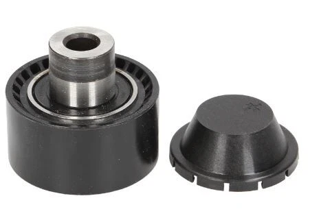 Galet Tendeur De Courroie Citroen Peugeot C3 C4 208 308 1.6 HDi 1613838180
