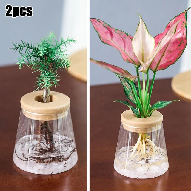 Fiore Pentola for No Suolo Per Crescere IN Vaso Piccolo Risparmio Acqua Pratico