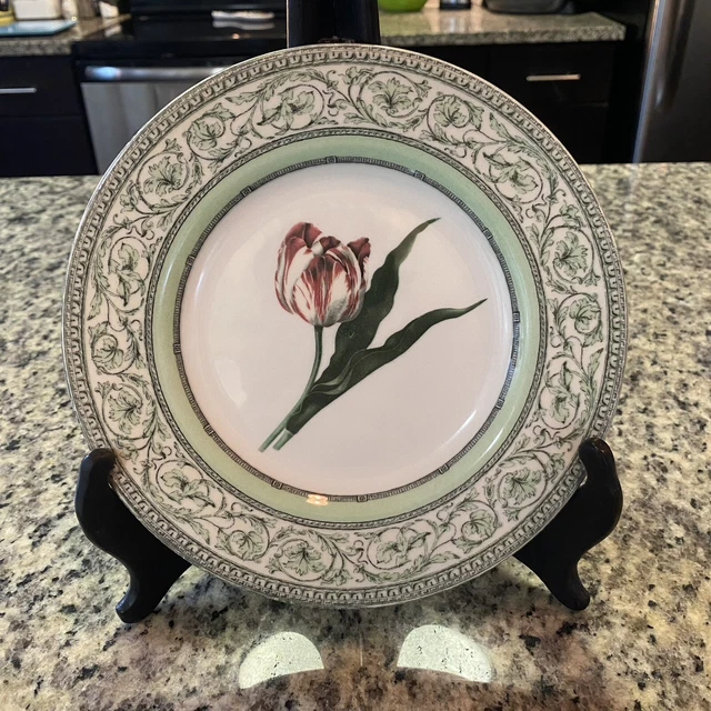 Royal Horticultural Society Applebee Collection 8” Salad Dessert Plate Set of 4