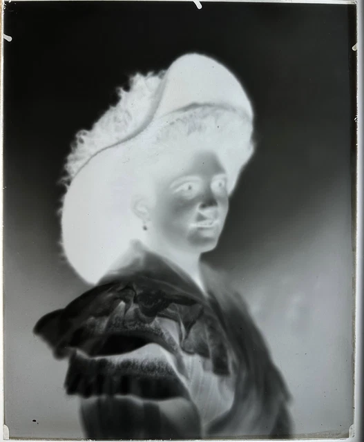 PORTRAIT OF WOMEN FASHION LADY HOUSE STERN 1890 PARIS GLASS PLATE 24x30 NEGATIVE VIEW