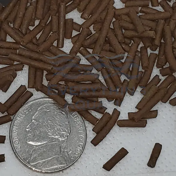 California Blackworm Sticks for Discus, Angels, Cichlid, Catfish, Bottom Feeders