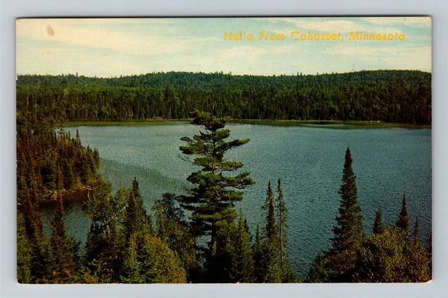 Hello From Cohasset MN-Minnesota, Bird's Eye Lake View, c1967 Vintage Postcard