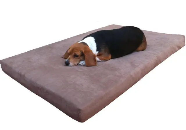 Large Orthopedic Memory Foam Pad Pet Dog Bed Waterproof Case Suede cover 45X27X3