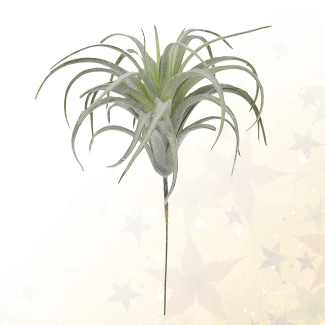 1 pieza Adorno de bromelia realista para el hogar arreglo decorativo suplemento bonsái