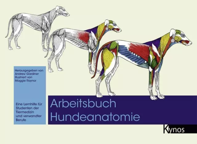 Arbeitsbuch Hundeanatomie | Buch | 9783954640140