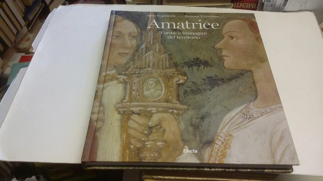 AMATRICE, FORME E IMMAGINI DEL TERRITORIO, ELECTA, 2015, 17gn23