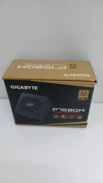 GIGABYTE GP-P750GM PC-Netzteil - Schwarz