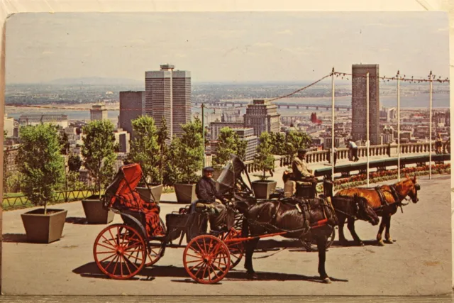 Canada Quebec Montreal Mount Royal Horsedrawn Carriages Postcard Old Vintage PC