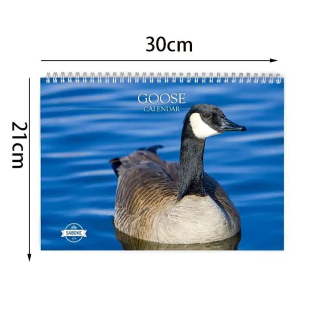 TIME PLANNING 2024 Duck Calendar Calendar 2024 Calendar Desk Decoration EUR 10,84 PicClick FR