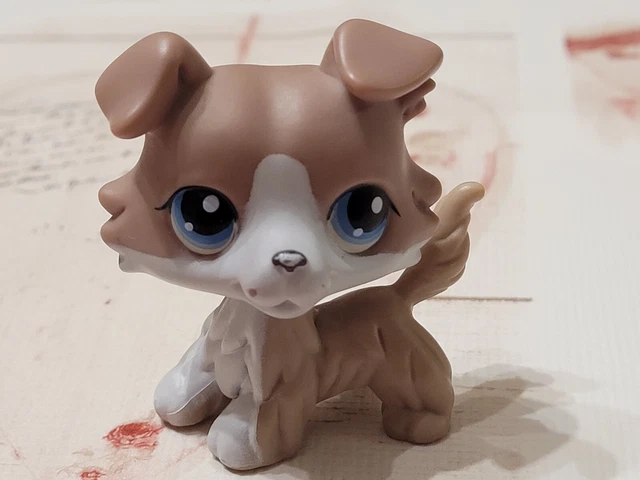 Littlest Pet Shop HASBRO Chien Colley Authentique LPS 893