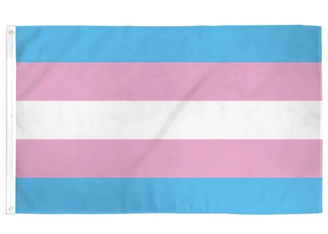 TRANS PRIDE FLAG 3x5ft LGBTQIA+ inclusive flag EUR 4,52 - PicClick FR