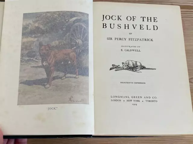 Rare Staffordshire Bull Terrier Dog Story Book "Jock" 1929 475 Pages Illustrated
