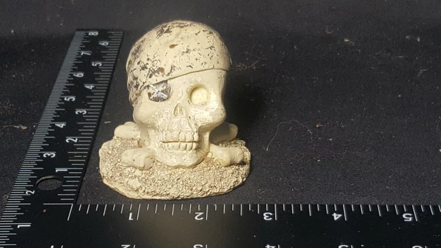Pirate Skull  + Dragon's Head Aquarium Ornament Fish Tank Decoration