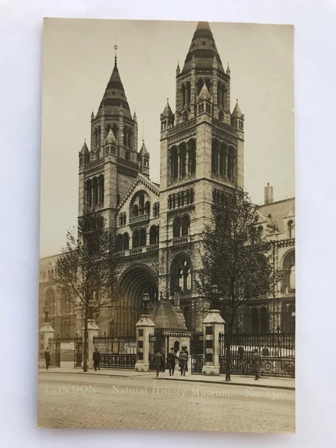 London. Natural History Museum. Real Photo Postcard.