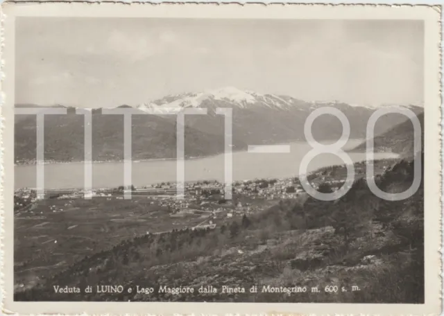 Veduta Di Luino E Lago Maggiore Dalla Pineta Di Montegrino (Varese) 1951