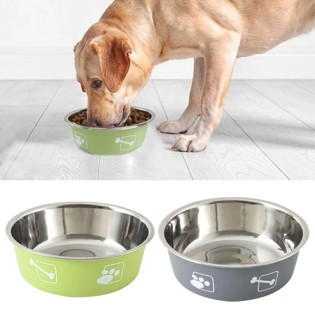 Ciotola per gatto in acciaio inox ciotola per cane ciotola per alimentazione per animali domestici ciotola antiscivolo portatile per cane