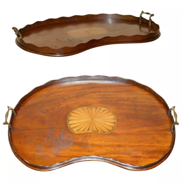 Antico Vassoio Da Servizio In Legno Satinato Circa 1880 Sheraton Revival Vassoio Da Servizio Maniglie Bronzo