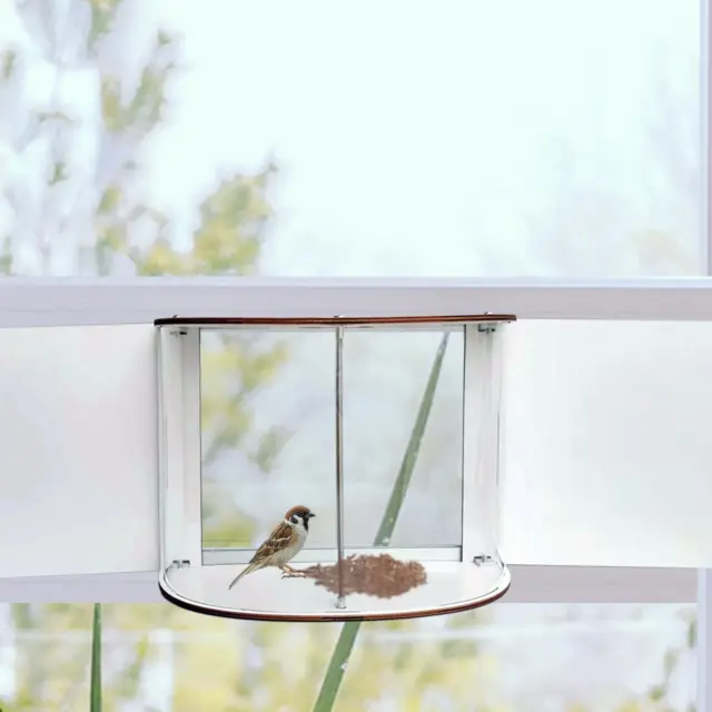 Fenêtre Mangeoire à oiseaux pour animaux de compagnie Moineau