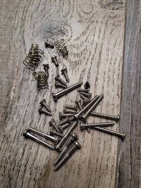 Fender Starcaster Screws