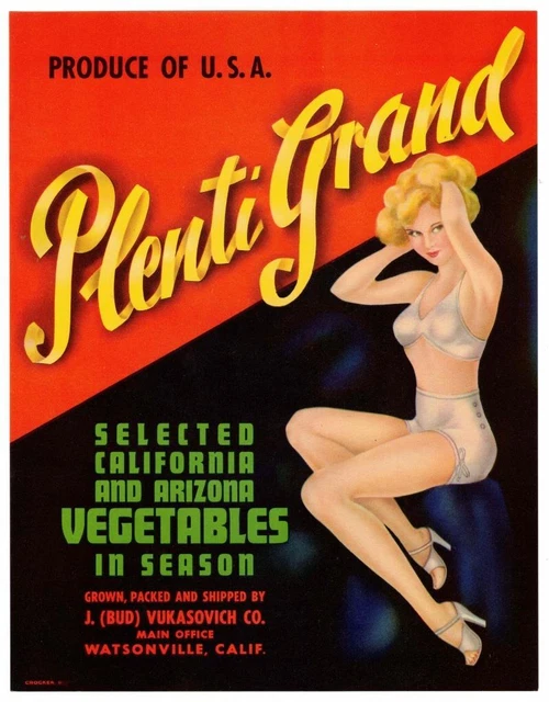 Lot of 5- Vintage Plenti Grand Vegetable Crate Label.  Watsonville, California