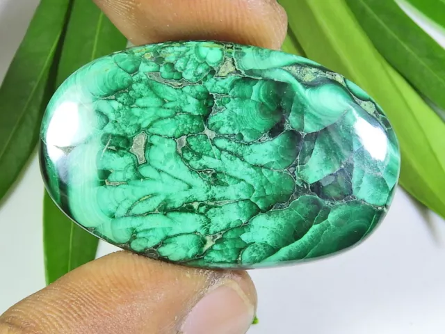 24X39X04 MM Natural Malachite Crystal Oval Cabochon Loose Gemstone 52 Cts. W105