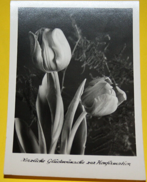 Faszinierend Herzliche Glã¼ckwã¼nsche Zur Konfirmation Fotos