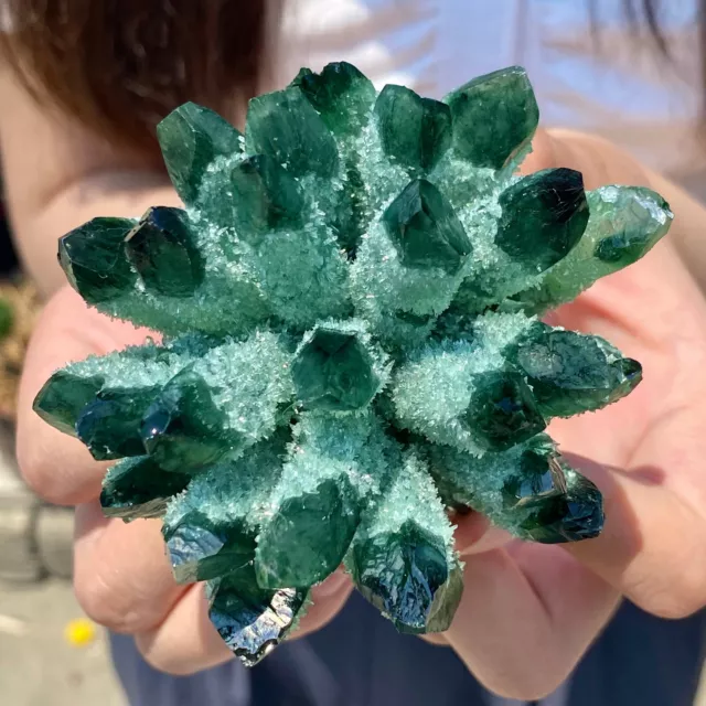 306G New Find Green Phantom Quartz Crystal Cluster Mineral Specimen Healing
