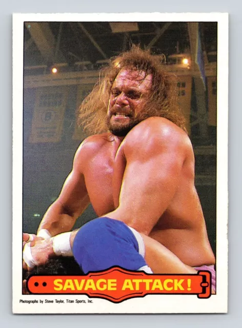 1985 OPC O-Pee-Chee WWF WWE Series 2 Wrestling Cards Complete Your Set U  Pick