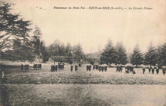 Cpa Val De Marne 94 Sucy En Brie La Grande Pelouse