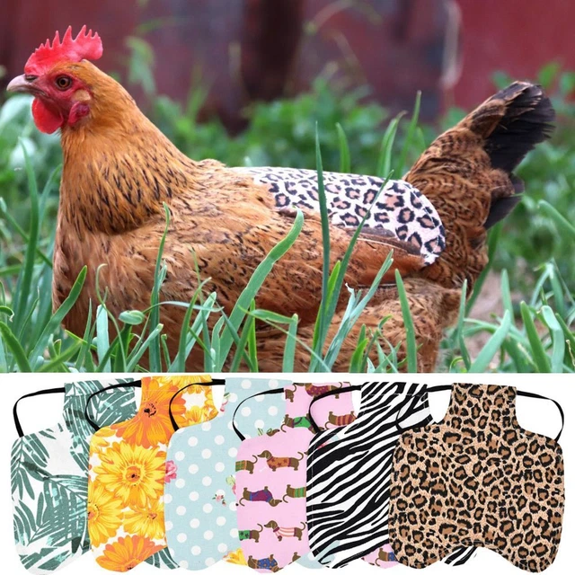 Funny Protective Apron Chicken Saddle Back Jacket Hen Feather Protector