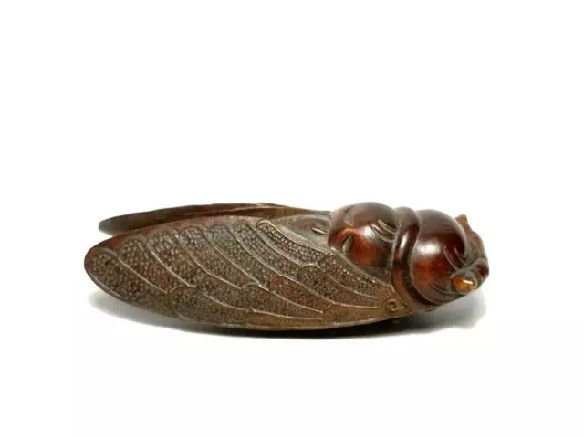 Japanese boxwood hand carved cicada Figure statue netsuke collectable Gift