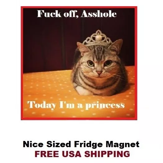 108 - Cute  Princess Cat Fridge Refrigerator Magnet